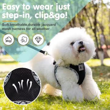 No-Pull Dog Harness and Leash Set – Soft, Breathable Pet Vest for Small Dogs – Easy-Walk Adjustable Harness