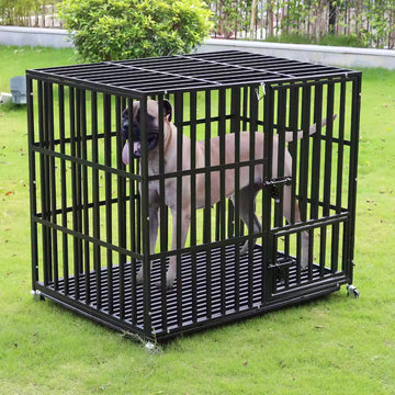 Bingopaw Heavy-Duty Metal Dog Crate – Large Sizes (37″, 42″, 46″) with Triple Doors, Secure Locks, Rolling Wheels & Easy-Clean Tray
