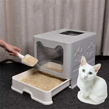 Bingopaw XXL Extra Spacious Collapsible Cat Litter Container with Front Access & Top Exit and Tray