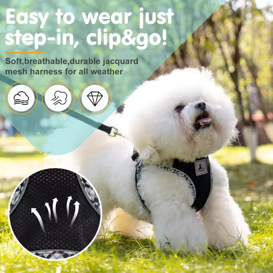 No-Pull Dog Harness and Leash Set – Soft, Breathable Pet Vest for Small Dogs – Easy-Walk Adjustable Harness
