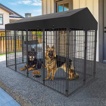Large Dog Kennel