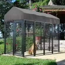 Large Dog Kennel